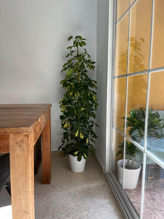 Apartamento La Biznaga Málaga Buitenkant foto